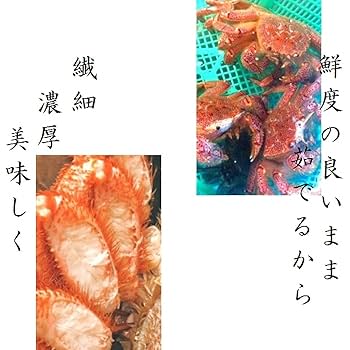 【訳あり】北海道産　毛蟹　2尾セット2セット（合計約900ｇ〜1ｋｇ分）　付け足 訳あり 活毛ガニ 北海道産 冷蔵 2尾セット 合計1kg前後 活き 未